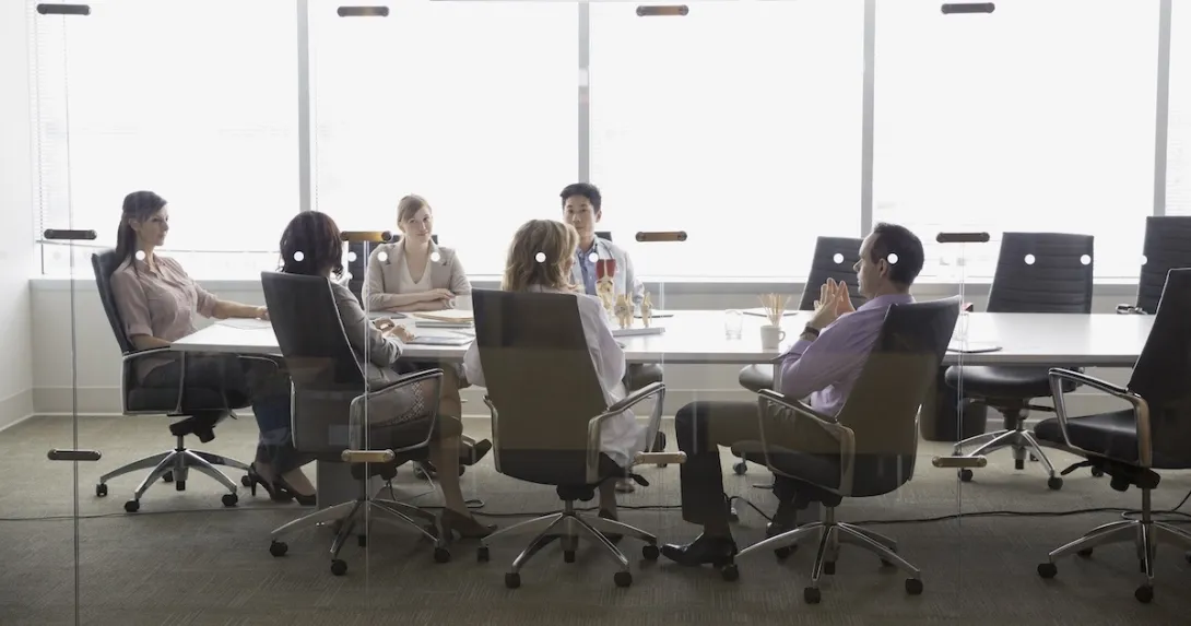 Professionals in a conference room