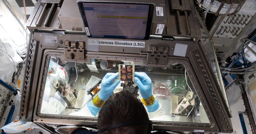 Astronaut looking at scientific paraphernalia